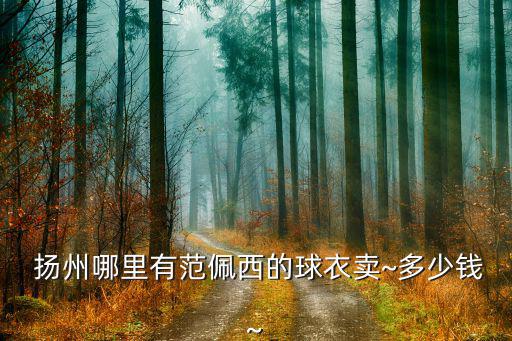  揚(yáng)州哪里有范佩西的球衣賣~多少錢~