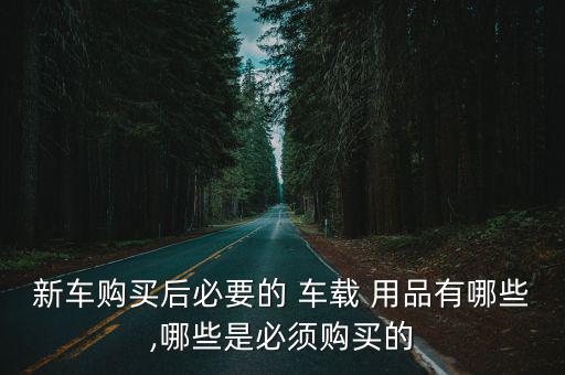 新車購(gòu)買后必要的 車載 用品有哪些,哪些是必須購(gòu)買的
