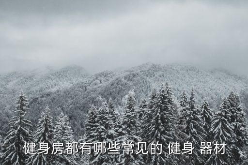  健身房都有哪些常見(jiàn)的 健身 器材