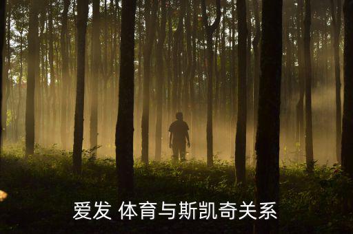 愛(ài)發(fā) 體育與斯凱奇關(guān)系