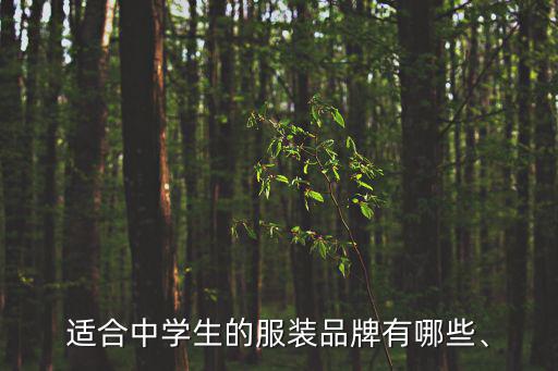 適合中學(xué)生的服裝品牌有哪些、