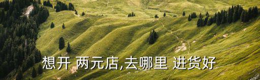 想開(kāi) 兩元店,去哪里 進(jìn)貨好