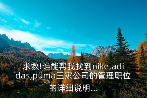 求救!誰能幫我找到nike,adidas,puma三家公司的管理職位的詳細(xì)說明...
