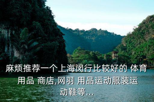 麻煩推薦一個上海閔行比較好的 體育 用品 商店,網羽 用品運動服裝運動鞋等...