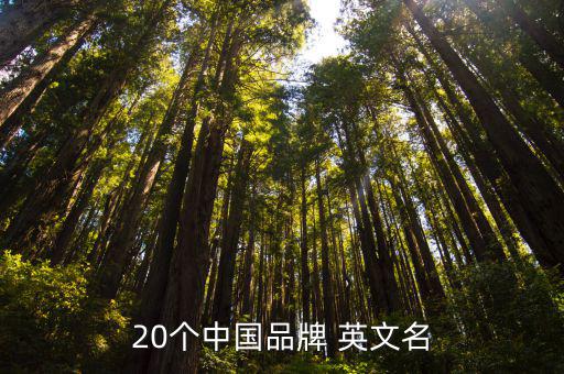 20個(gè)中國品牌 英文名