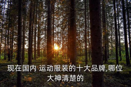 國產(chǎn)運動品牌銷售額排名,奢侈品牌銷售額排名