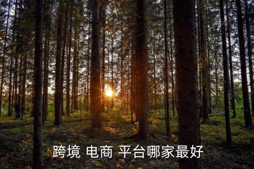跨境電商平臺(tái)哪個(gè)最好最可靠,跨境導(dǎo)航網(wǎng)站正式上線