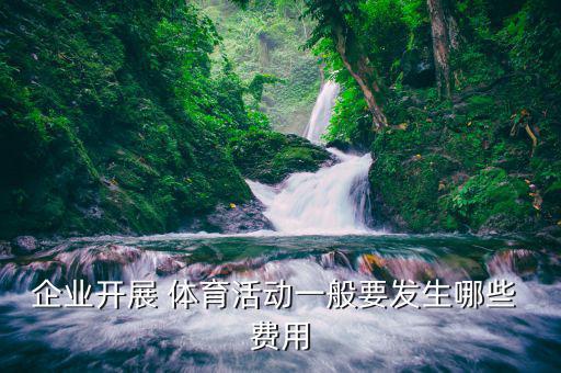 公司體育用品入什么費(fèi)用,購買體育用品入什么科目