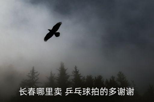 哪里有賣(mài)乒乓球的地方嗎,附近哪里有賣(mài)乒乓球桌