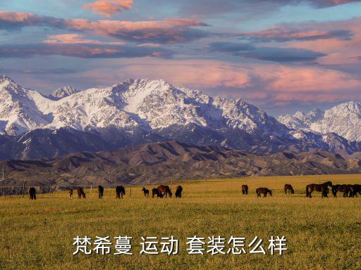 梵希蔓 運(yùn)動(dòng) 套裝怎么樣