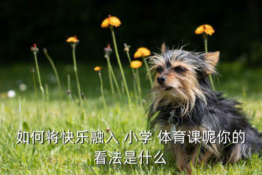 小學(xué)體育課器材圖片,體育課器材名稱大全圖片
