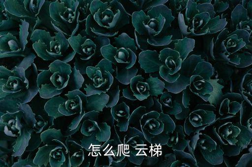 怎么爬 云梯