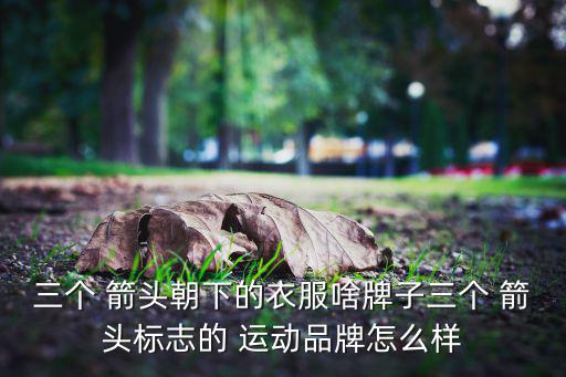 韓國運(yùn)動品牌logo大全箭頭,運(yùn)動衣服品牌標(biāo)志logo大全