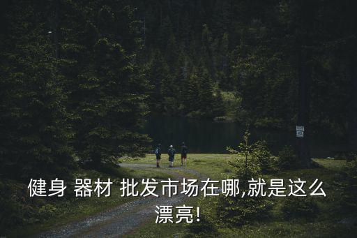 健身 器材 批發(fā)市場在哪,就是這么漂亮!