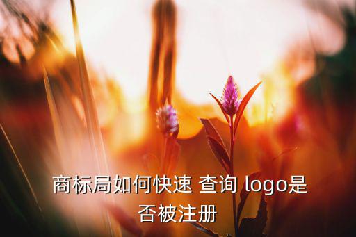  商標(biāo)局如何快速 查詢 logo是否被注冊