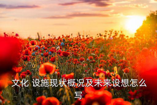 文化娛樂設(shè)施,2設(shè)施將繼續(xù)發(fā)展加快9提高文化設(shè)施服務(wù)水平