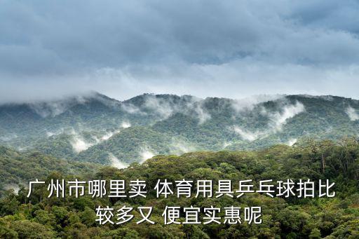  廣州市哪里賣(mài) 體育用具乒乓球拍比較多又 便宜實(shí)惠呢