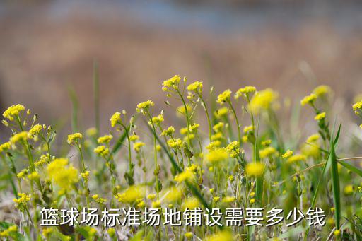  籃球場標準場地鋪設(shè)需要多少錢