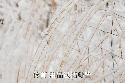 戶外運(yùn)動(dòng)器材大全兒童用品,幼兒園戶外運(yùn)動(dòng)器材大全