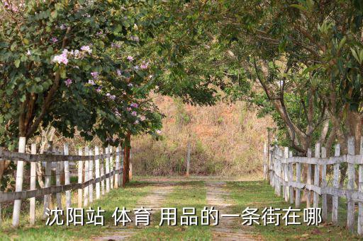  沈陽(yáng)站 體育 用品的一條街在哪
