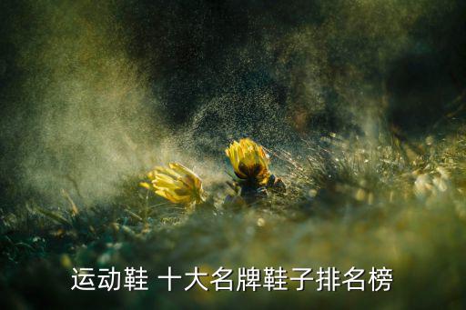 運動鞋 十大名牌鞋子排名榜