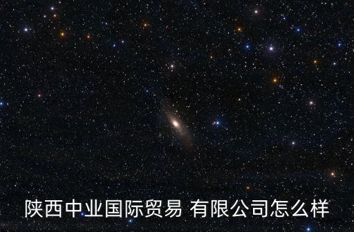 陜西中業(yè)國際貿(mào)易 有限公司怎么樣