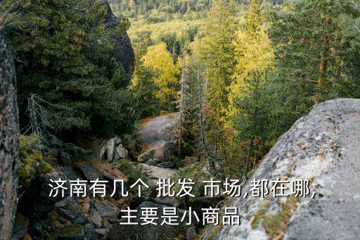 濟(jì)南體育用品批發(fā)市場(chǎng)有哪些,我見(jiàn)過(guò)最大的體育用品店!