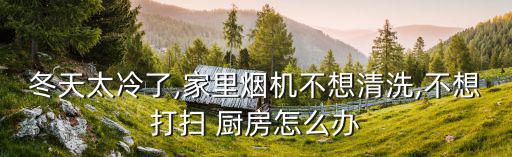 上門(mén)清潔廚房,廚房專(zhuān)用清潔濕巾