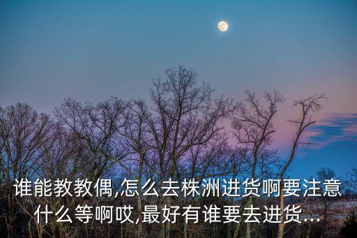 誰(shuí)能教教偶,怎么去株洲進(jìn)貨啊要注意什么等啊哎,最好有誰(shuí)要去進(jìn)貨...