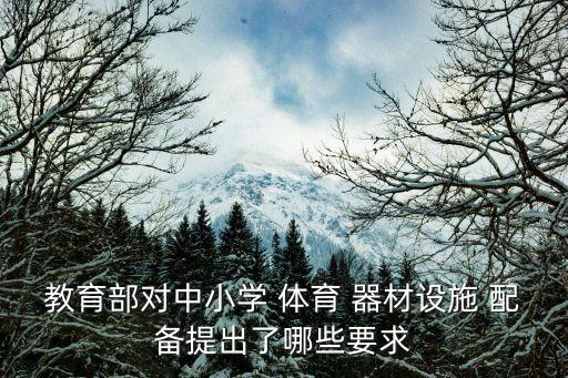 教育部對(duì)中小學(xué) 體育 器材設(shè)施 配備提出了哪些要求