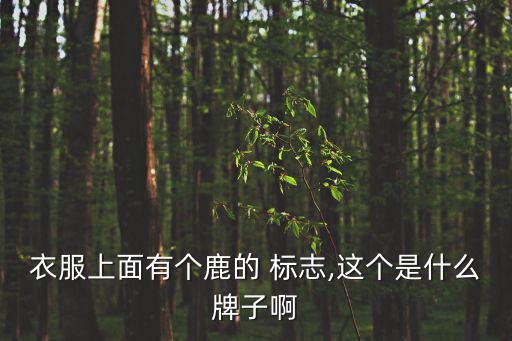品牌運動裝標志圖片,運動裝品牌標志logo大全