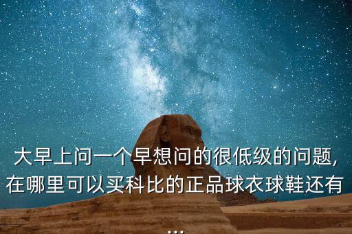 大早上問一個早想問的很低級的問題,在哪里可以買科比的正品球衣球鞋還有...