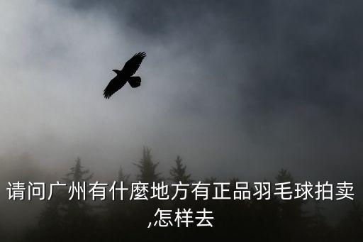 請問廣州有什麼地方有正品羽毛球拍賣,怎樣去