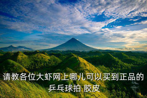 乒乓膠皮哪里買,電站乒乓大全:哪家店有實(shí)體店支持?