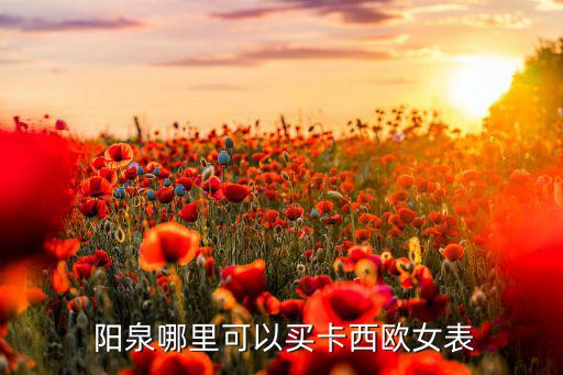 陽(yáng)泉電子商城,平定誠(chéng)德信商務(wù)店推出手機(jī)登錄商城比較合適