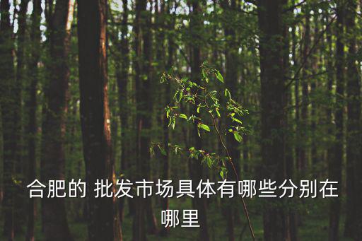  合肥的 批發(fā)市場具體有哪些分別在哪里