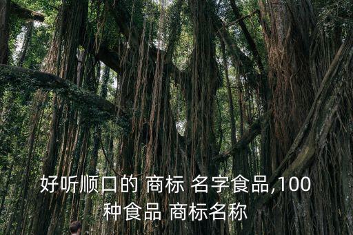 四個字注冊商標(biāo)起名字大全,汽車配件注冊商標(biāo)起名字