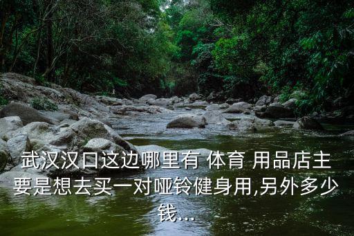 武漢漢口這邊哪里有 體育 用品店主要是想去買一對啞鈴健身用,另外多少錢...