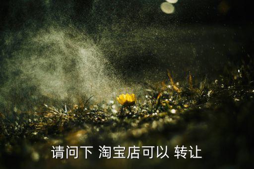 請問下 淘寶店可以 轉(zhuǎn)讓