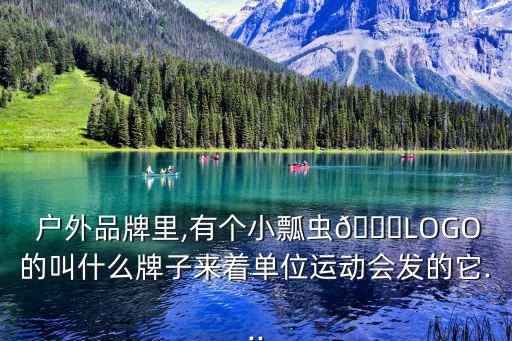  戶外品牌里,有個小瓢蟲?LOGO的叫什么牌子來著單位運動會發(fā)的它...