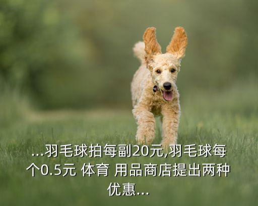 體育用品店促銷方案摘要,床上用品店促銷方案