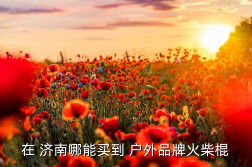 濟南戶外用品專賣,體育用品專柜出售專業(yè)羽毛球拍和相關器材