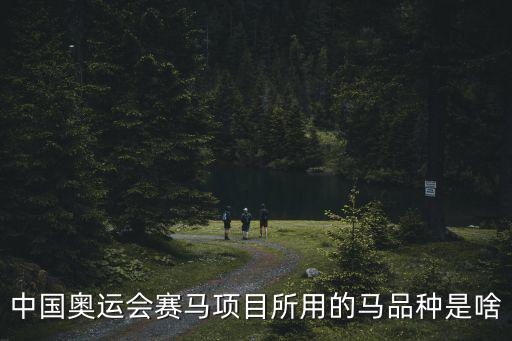 中國奧運會賽馬項目所用的馬品種是啥