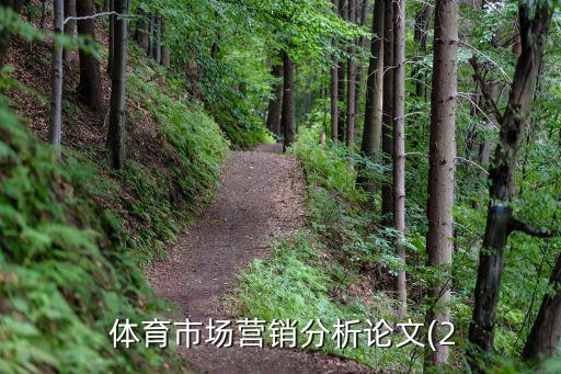  體育市場(chǎng)營銷分析論文(2
