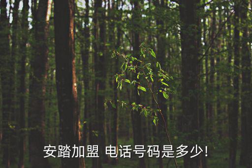 體育用品電話,安踏體育是中國龍頭企業(yè)rr\n安踏