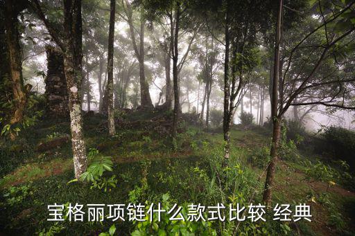  寶格麗項(xiàng)鏈?zhǔn)裁纯钍奖容^ 經(jīng)典