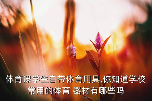 足球器材清單大全,足球訓(xùn)練器材有哪些 清單