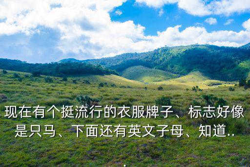 現(xiàn)在有個(gè)挺流行的衣服牌子、標(biāo)志好像是只馬、下面還有英文子母、知道...