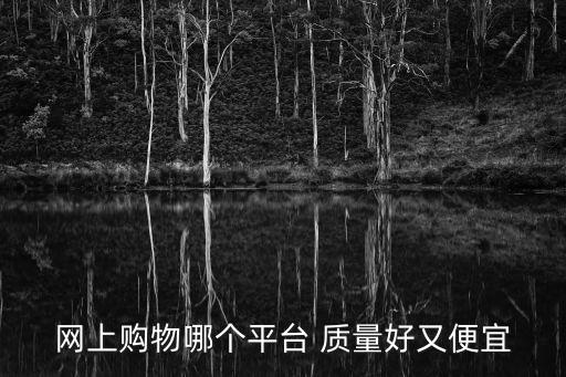 網上購物哪個平臺 質量好又便宜