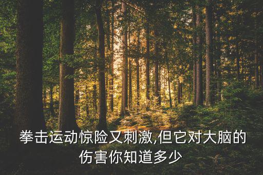 沙袋拳擊圖片,立式拳擊沙袋價(jià)格與圖片大全